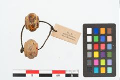 Foto von Bernsteinringperle (NHMW-PRAE-026285)